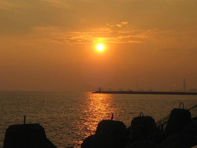 🏞️ 아라이 해변바람 공원(아라이 하마카제 코엔) 이미지 1